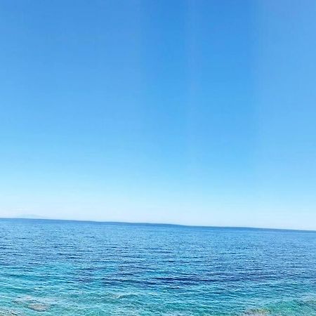 Appartement En Bord De Mer 皮特讷阿 外观 照片
